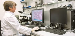 Analysis of circulating tumor cells in blood